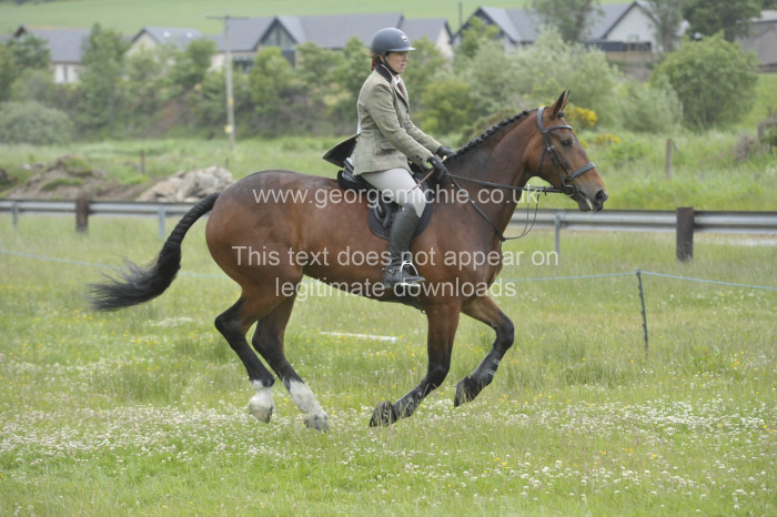 Deveron Pony club Working hunter